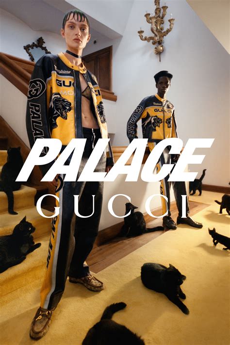 gucci palace collaboration|palace gucci collab.